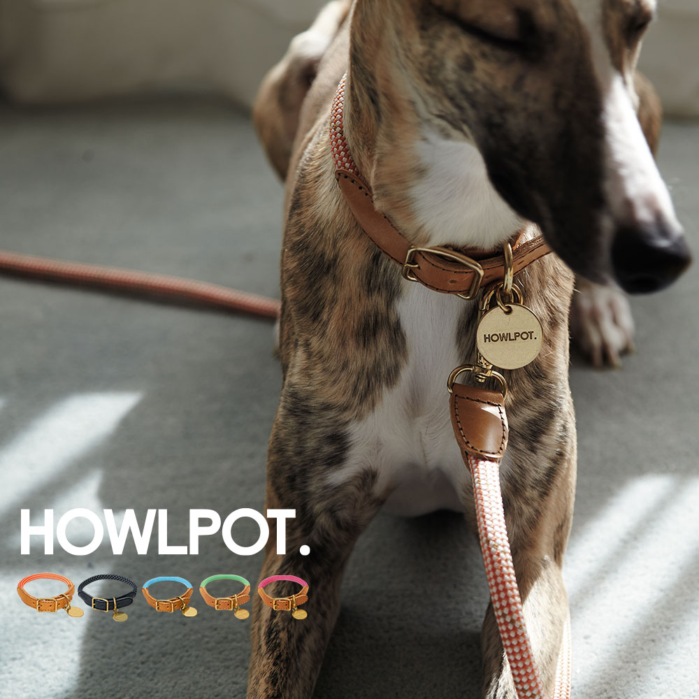 HOWLPOT. WE ARE TIGHT 犬用首輪 ペット用品 小型犬 中型犬 リード犬 犬用 クライミングロープ おしゃれ ドッグ かわいい [ 父の日 ]