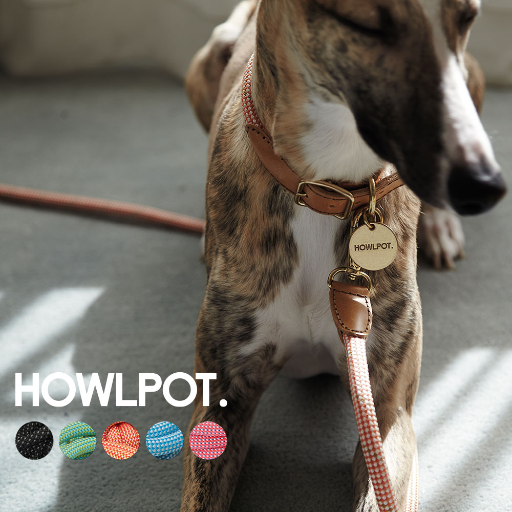 HOWLPOT. WE ARE TIGHT 犬用リード (首輪 ペット用品 小型犬 中型犬 リード犬 犬用 クライミングロープ おしゃれ ドッグ かわいい) [ 父の日 ]