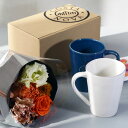 コスタノバ ギフトボックス マグ2個用 ( COSTA NOVA コスタノヴァ 300ml マグカップ コーヒーカップ マグ カップ コップ 食器 耐熱 オーブ...