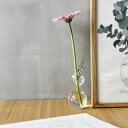 medifla 小さな花瓶 BUBBLES バブルス ( メディフラ フラワーベース 花びん 花器 一輪挿し フラワースタンド フラワーポット ミニ 理化学ガラ...