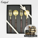 【レビューでクーポン&プレゼント