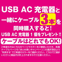 USB/AC充電器003