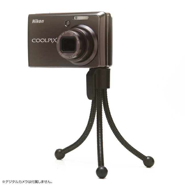 �ե쥭���֥� ���� ����ѥ��� ������� ���� �ե쥭���֥� ���ͤ���