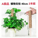 植物支柱 園芸支柱 ココナッツ支柱 A級品 40cm 2本組 天然 ココナッツ 支柱 観葉植物 モンステラ ポトス つる性植物