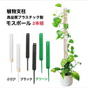 植物支柱 園芸支柱 モスポール 高品質プラスチック 2本組 水苔 モス 支柱 観葉植物 モンステラ ポトス つる性植物