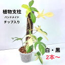 植物支柱 園芸支柱 モスポール チップ入り ハンドメイド 高品質 2本 4本 6本 白 黒 水苔 モス 支柱 観葉植物 モンステラ ポトス つる性植物