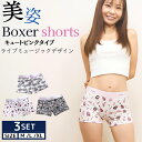 レディース ボクサーパンツ 3枚セット 男女兼用 綿 黒 レディースボクサーパンツ かわいい メンズ ボクサーショーツ シンプル 黒 カッコいい コットン ボッ...