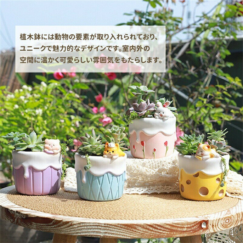 多肉植物植木鉢 植木鉢 多肉植物 観葉植物 プランター ミニ 多肉 苔 コケリウム 鉢...