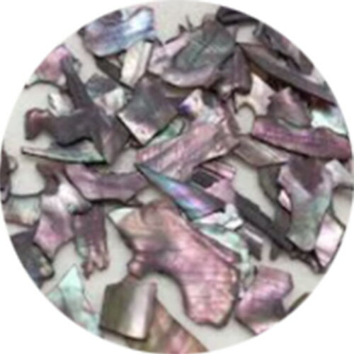 【1/10 当店ポイント10倍!1/9 20:00~お買い物マラソン開催】アート シェル アニューム ANNUUM クラッシュシェル PART3 ゆうパケット ...