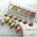 アート ミラーパウダー アニューム ANNUUM 6カラーアイシャドーミラーパウダー caim ゆうパケット ネイルパーツ ネイル ネイル用品 ネイルデザイン ミラーネイル セルフネイル【当店商品3980円(沖縄離島は税込9800円)以上で送料無料】楽天39ショップ