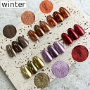 アート ミラーパウダー アニューム ANNUUM 6カラーアイシャドーミラーパウダー winter ゆうパケット【当店商品3980円(沖縄離島は税込9800円)以上で送料無料】楽天39ショップ