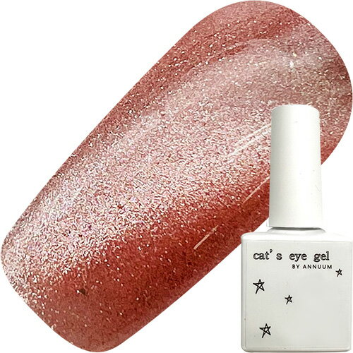 ジェルネイル カラージェル アニューム ANNUUM cat's eye gel I 10ml マグネット ネイル キャッツアイ キャットアイ ネイル用品【当店商品3980円(沖縄離島は税込9800円)以上で送料無料】楽天39ショップ