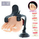 検定用品 練習用品 ビューティーネイラー BEAUTY NAILER プラクティス ハーフフット リアル右足 (PFR-1) ネイル関係雑貨 びゅーてぃーねいら...