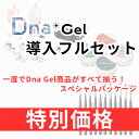 ジェルネイル スターターキット ディーナジェル DnaGel DnaGel導入フルセット ジェルその他 スペースネイル