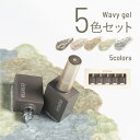 エメナ emena ウェービージェル5色セット 0606-0610 カラージェル ジェルネイル set
