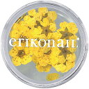 【7/15 当店ポイント10倍】アート ラメ・グリッター・ホロ エリコネイル・黒崎えり子 erikonail ERI-136 フラワーイエロー 押し花 ネイルパーツ ジェルネイルアート【当店商品3980円(沖縄離島は税込9800円)以上で送料無料】楽天39ショップ