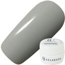 【7/15 当店ポイント10倍】ジェルネイル カラージェル ジェルグラフ GELGRAPH カラージェル5g 202M フローズングレイ ゆうパケット マット【当店商品3980円(沖縄離島は税込9800円)以上で送料無料】楽天39ショップ