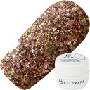 ジェルネイル カラージェル ジェルグラフ GELGRAPH カラージェル5g 225G チェス ゆうパケット グリッター【当店商品3980円(沖縄離島は税込9800円)以上で送料無料】楽天39ショップ