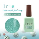 【6/5 当店ポイント10倍!楽天スーパーSALE開催中】アイリー Irie チョコミントフラッシュマグ12ml CM-05 モヒートミント【カラージェル/ジェルネイル】I r i e マグネットジェル マグジェル マグネットネイル choco mint flash mag ミントカラー