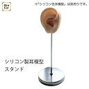 耳つぼ KiraEar シリコン製耳模型 スタンド お取り寄せ 生活雑貨 Kira Nail キラネイル kira nail きらねいる Kira Ear キライアー キライヤー kiraear 耳つぼジュエリー 練習用 ディスプレイ 耳模型レイアウト用スタンド|詳細画像