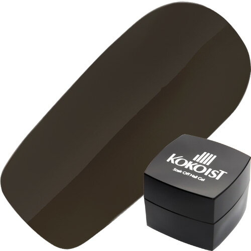 ジェルネイル カラージェル ココイスト KOKOIST カラージェル2.5g E17ビターチョコレート ゆうパケット マット【当店商品3980円（沖縄離島は税込9800円）以上で送料無料】楽天39ショップ