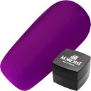 ジェルネイル カラージェル ココイスト KOKOIST カラージェル2.5g E153パーティーバルーンパープル ゆうパケット ネオン【当店商品3980円(沖縄離島は税込9800円)以上で送料無料】楽天39ショップ