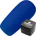 ジェルネイル カラージェル ココイスト KOKOIST カラージェル2.5g E154パーティーバルーンブルー ゆうパケット ネオン【当店商品3980円(沖縄離島は税込9800円)以上で送料無料】楽天39ショップ