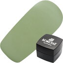 ジェルネイル カラージェル ココイスト KOKOIST 秋色 レトログルーヴシリーズ カラージェル2.5g E293 Pistachio Butter ゆうパケ...