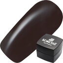 ジェルネイル カラージェル ココイスト KOKOIST ミッドナイトシリーズ カラージェル2.5g E223 ミッドナイトチョコレート ゆうパケット マット【当...