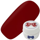 リーフジェル LEAFGEL PREMIUM カラージェル4g 581 ダークチェリー【ゆうパケット】【カラージェル/ジェルネイル】りーふじぇるぷれみあむ リーフジェルプレミアム りーふじぇる ボルドーカラー レッド