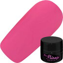 ジェルネイル カラージェル ミスミラージュ Miss Mirage トゥルーリーマットシリーズ2 カラージェル2.5g TM030S トゥルーリーディープピンク ゆうパケット マット【当店商品3980円(沖縄離島は税込9800円)以上で送料無料】楽天39ショップ