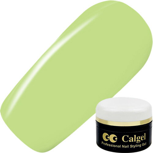 ジェルネイル カラージェル カルジェル Calgel カラージェル4g CGGR09S ヨーグルトキウイ