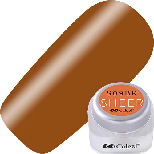 カルジェル Calgel 【Mode Quartz Collection】カラーカルジェルプラス2.5g S09BR モードアンバー【お取り寄せ】【ネコポス】【カラージェル/ジェルネイル】