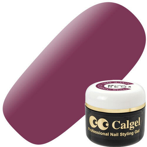 ジェルネイル カラージェル カルジェル Calgel カラージェル4g RE03S バーガンディ マット