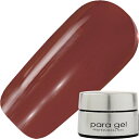 ジェルネイル カラージェル パラジェル paragel CAPLUS NAIL カラージェル4g AMD51 ジンジャーオレンジ ゆうパケット マット