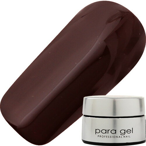 ジェルネイル カラージェル パラジェル paragel アートカラージェル4g AR14 チョコ ゆうパケット マット