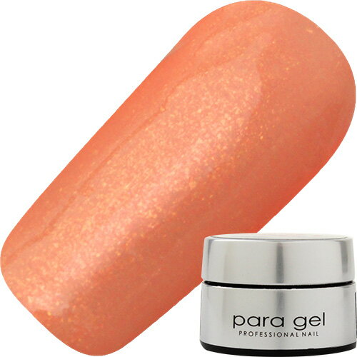 ͥ 顼 ѥ饸 paragel ȥ顼4g AS3 󥸥㡼٥å 椦ѥå ѡ