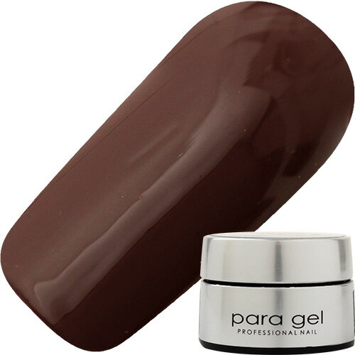 ジェルネイル カラージェル パラジェル paragel カラージェル4g M004 チョコレート ゆうパケット マット
