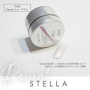 パラジェル para gel 【STELLAシリーズ】デザイナーズカラージェル4g SL02 ファーアウト【お取り寄せ】【ネコポス】【カラージェル/ジェルネイル】ぱらじぇる ステラシリーズ