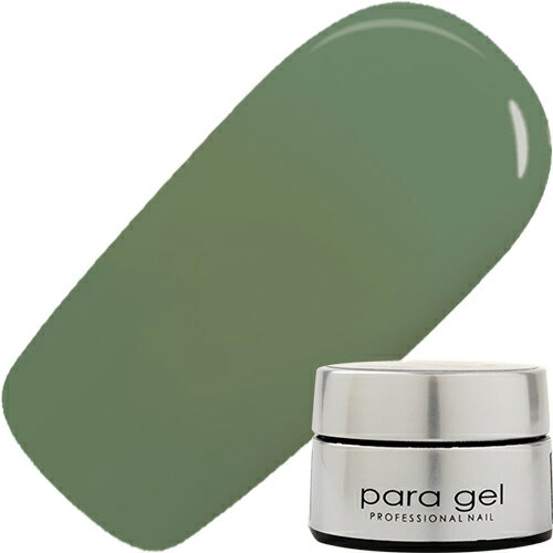 ������ͥ��� ���顼������ �ѥ饸���� paragel SETOYAMA AIRI �������롼���顼������4g ST23 �������롼���饷�å����꡼�� �椦�ѥ�...