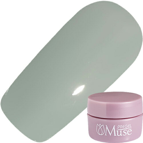 【12/30 当店ポイント10倍】ジェルネイル カラージェル プリジェル PREGEL プリジェルミューズ 3g S110..