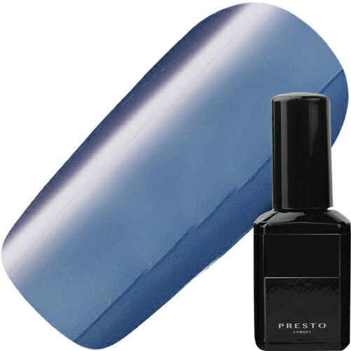 プレスト Presto ブラッシュオンカラージェル10g 312【ネコポス】【カラージェル/ジェルネイル】のサムネイル