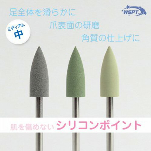 WSPT JAPAN 【鯨岡先生おすすめ!】シリコンポイント 中 3本セット (#180/#220/#800)【ネコポス】【マシン/セット】のサムネイル
