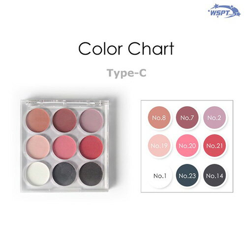 WSPTジャパン WSPT JAPAN ドラマティックネイルカラーパレットType-C【ネコポス】【アート/パレット】だぶるえすぴーてぃー ダブルエスピーティのサムネイル