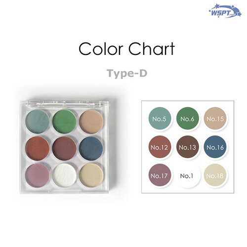 WSPTジャパン WSPT JAPAN ドラマティックネイルカラーパレットType-D【ネコポス】【アート/パレット】だぶるえすぴーてぃー ダブルエスピーティのサムネイル