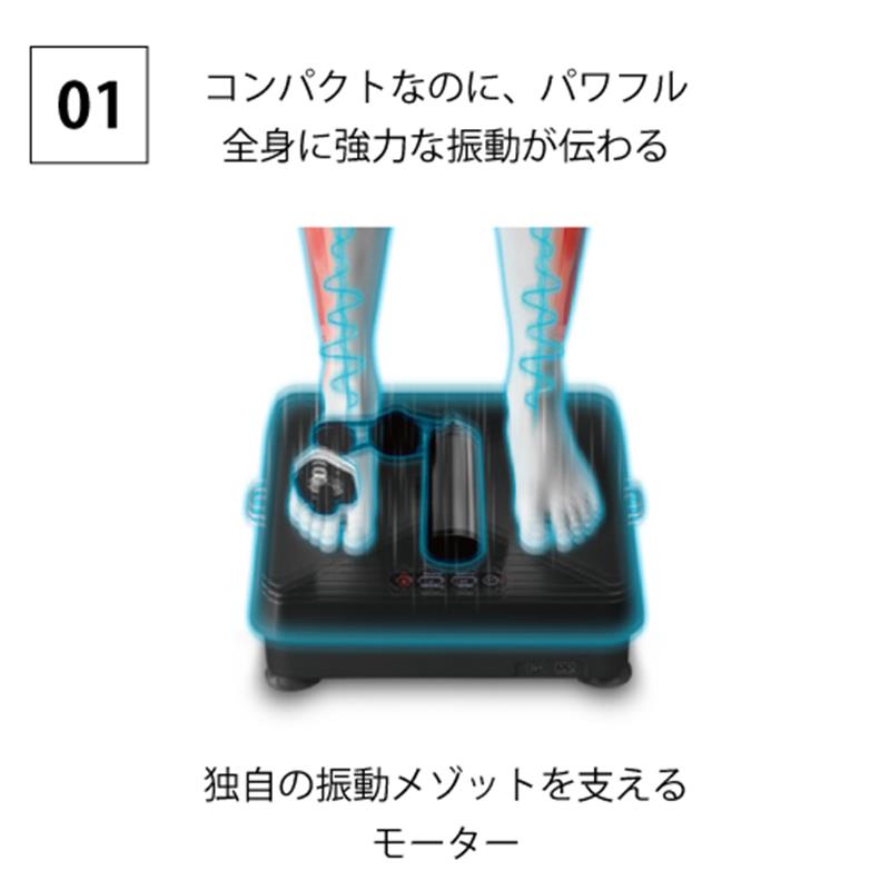 �������å� �������åȵ����ѥ������������ AX-FRL903PB �᡼����ľ�� ���軨�� �ѥ������������