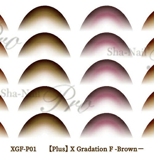 ̥ͥ Sha Nail plusX Gradation F -Brown-/åǡ  ֥饦ڤ󤻡ۡڥͥݥۡڥ/ͥ륷