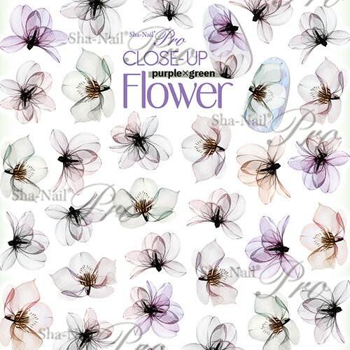 写ネイル Sha Nail CLOSE-UP Flower purple×green/クローズアップフラワー パープル×グリーン【ネコポス】【アート/ネイルシール】シャネイル しゃねいる