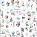 写ネイル Sha Nail 【Kanae先生コラボ】Kanae Sheer Flower/カナエ シアーフラワー【ネコポス】【アート/ネイルシール】シャネイル しゃねいる