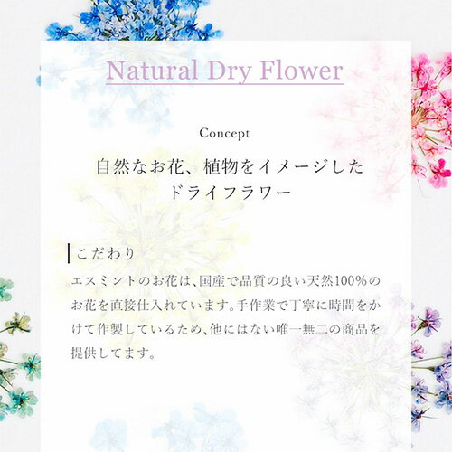 ������ �ɥ饤�ե� �����ߥ�� Smint LaceFlower ColorSelect Cobalt �椦�ѥ��å� �ü� SMINT �ͥ��� ���������꡼ ����ե� ���� B���顼���쥯�� ���Х�ȡ���Ź����3980�ߡʲ���Υ����ǹ�9800�ߡ˰ʾ������̵���۳�ŷ39����å�